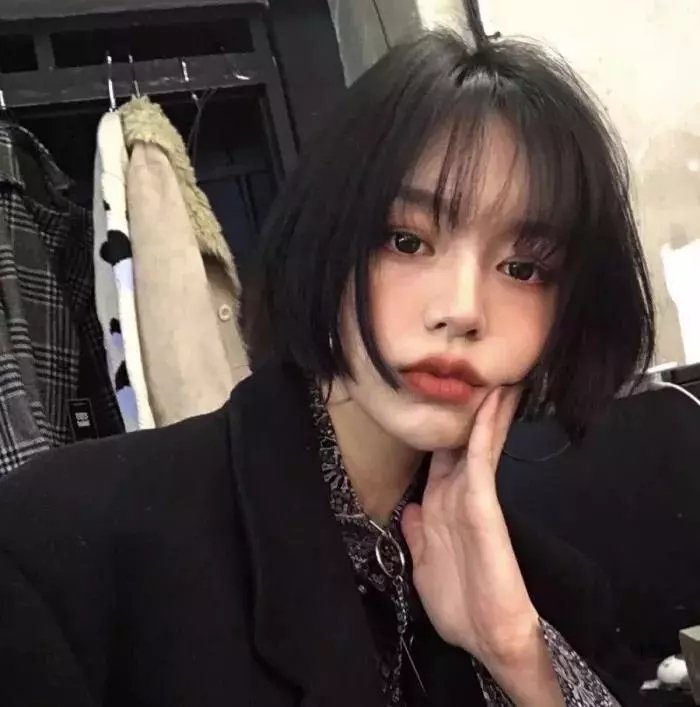 亲爱的总理